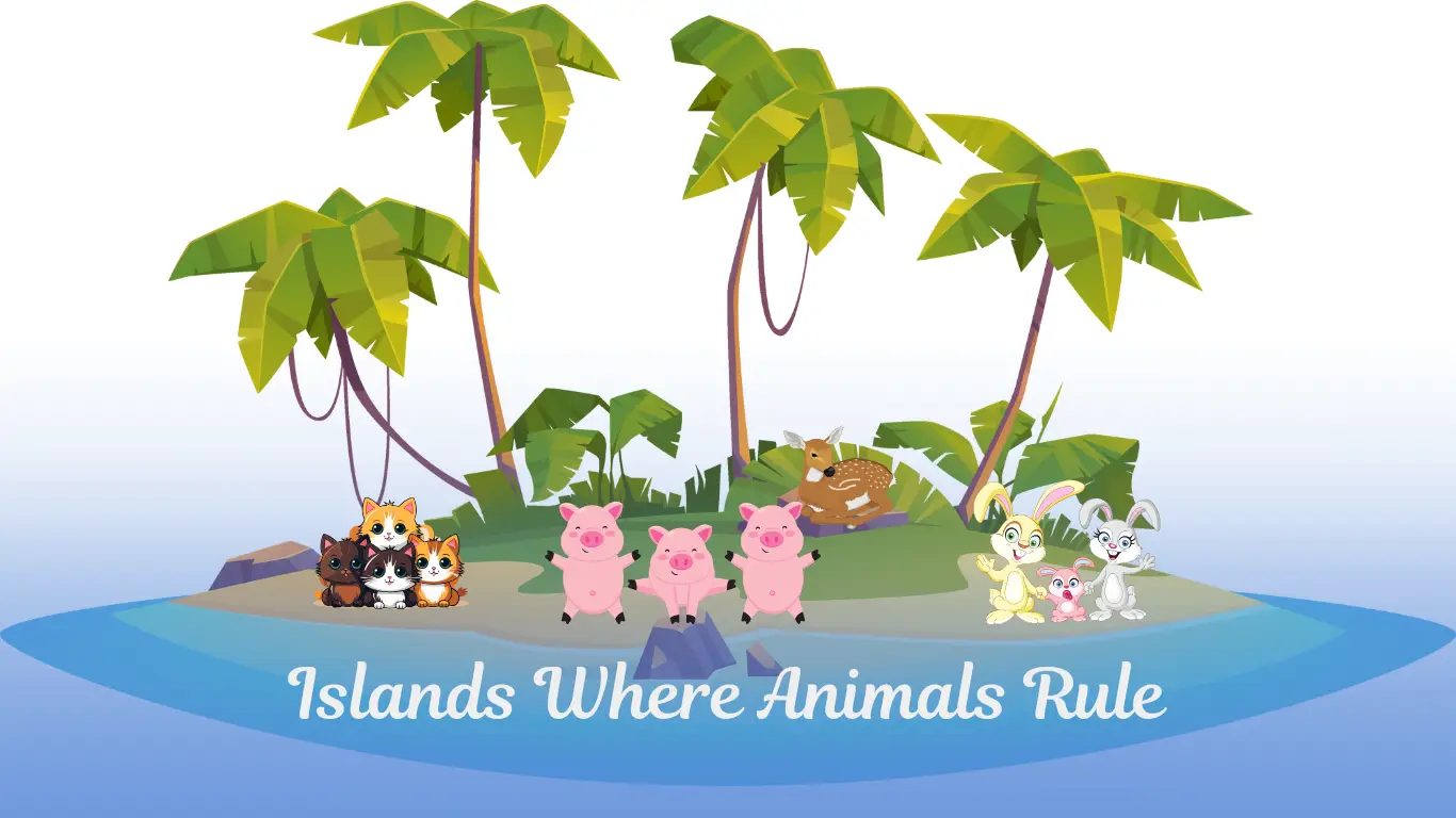 Cats, rabbits, pigs and deer living freely on islands