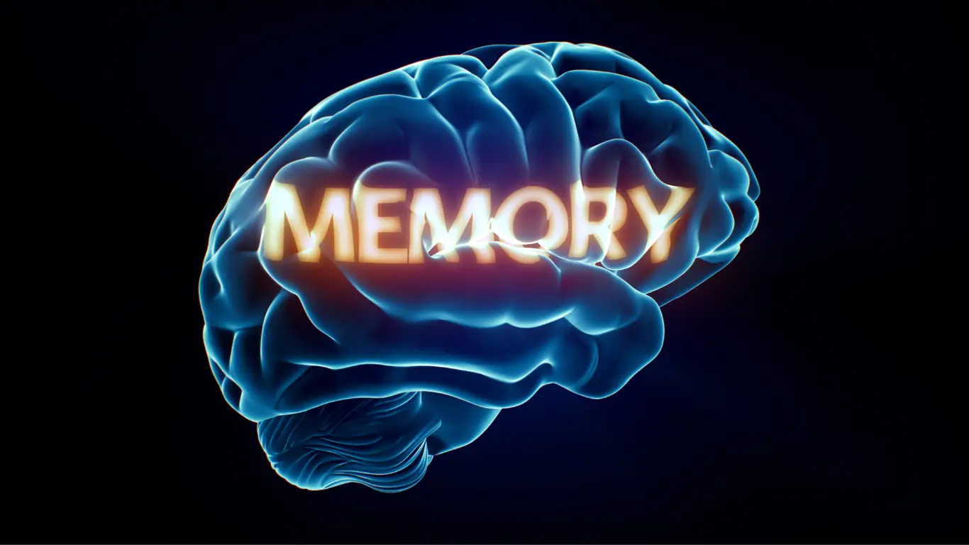 The Memory Effect: Why the Past Feels Brighter Than the Present