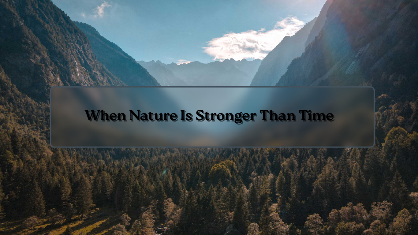 Ancient mountain valley with forests shaped over millions of years